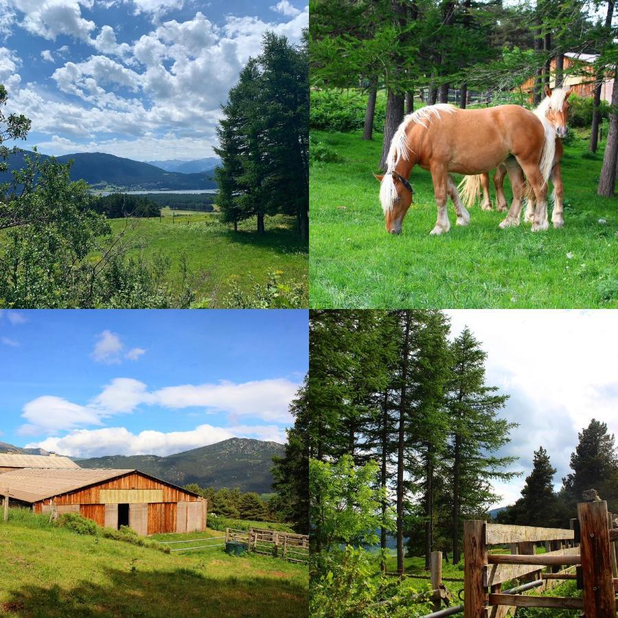Gite Ranch Le Serpolet Les Angles  Exterior photo